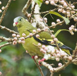 resort khao yai park tour and animal watching